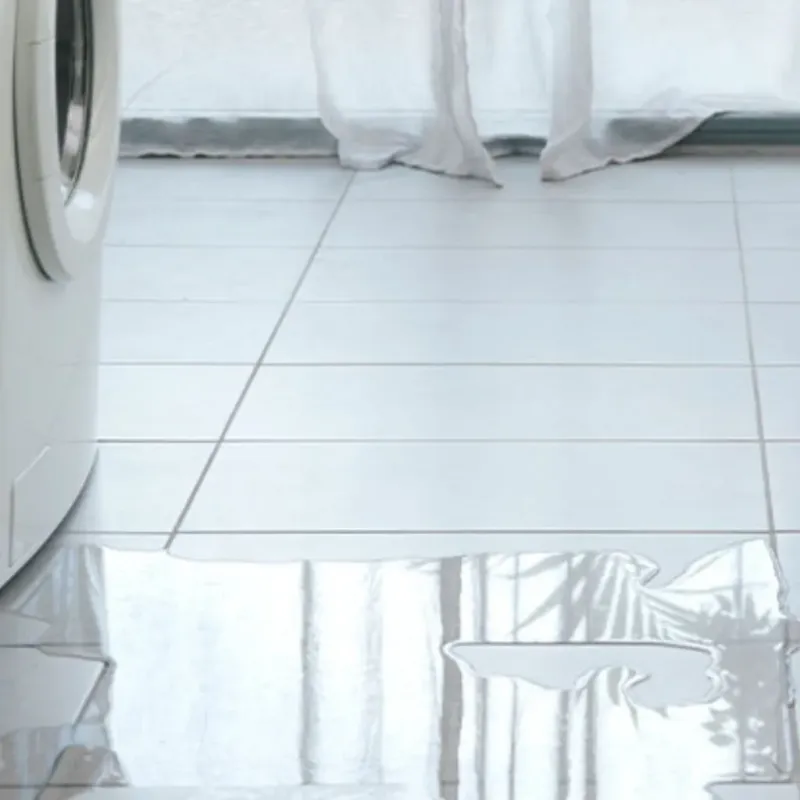 Appliance Leak Cleanup in Caswell County, NC