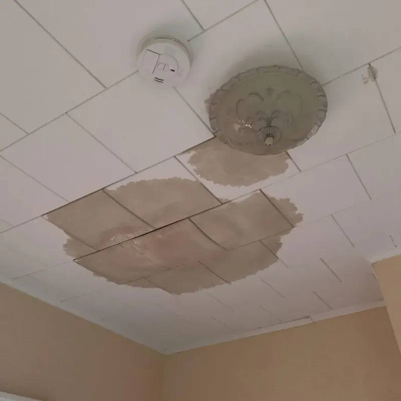 Ceiling Water Damage Repair in Caswell County, NC