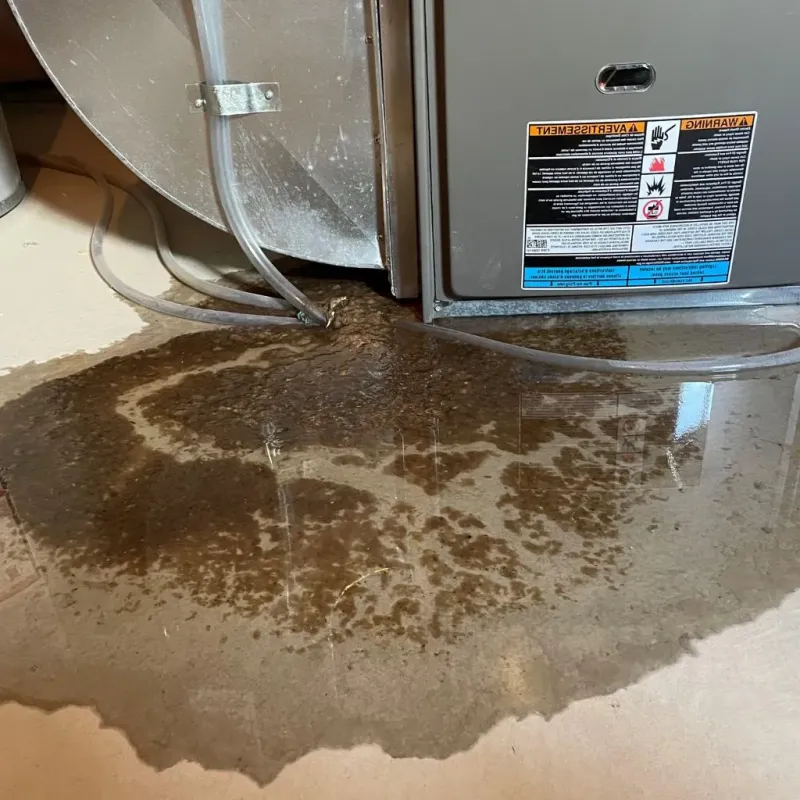 Pipe Burst and Leak Restoration in Caswell County, NC