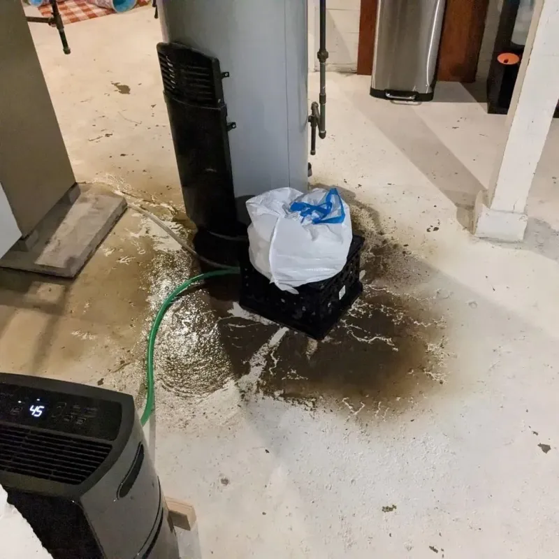 Sewage Backup Cleanup Service in Caswell County, NC